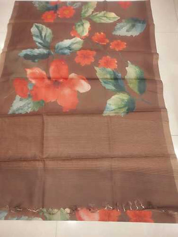 Brown body Kosa silk digital print & pohwaii art saree